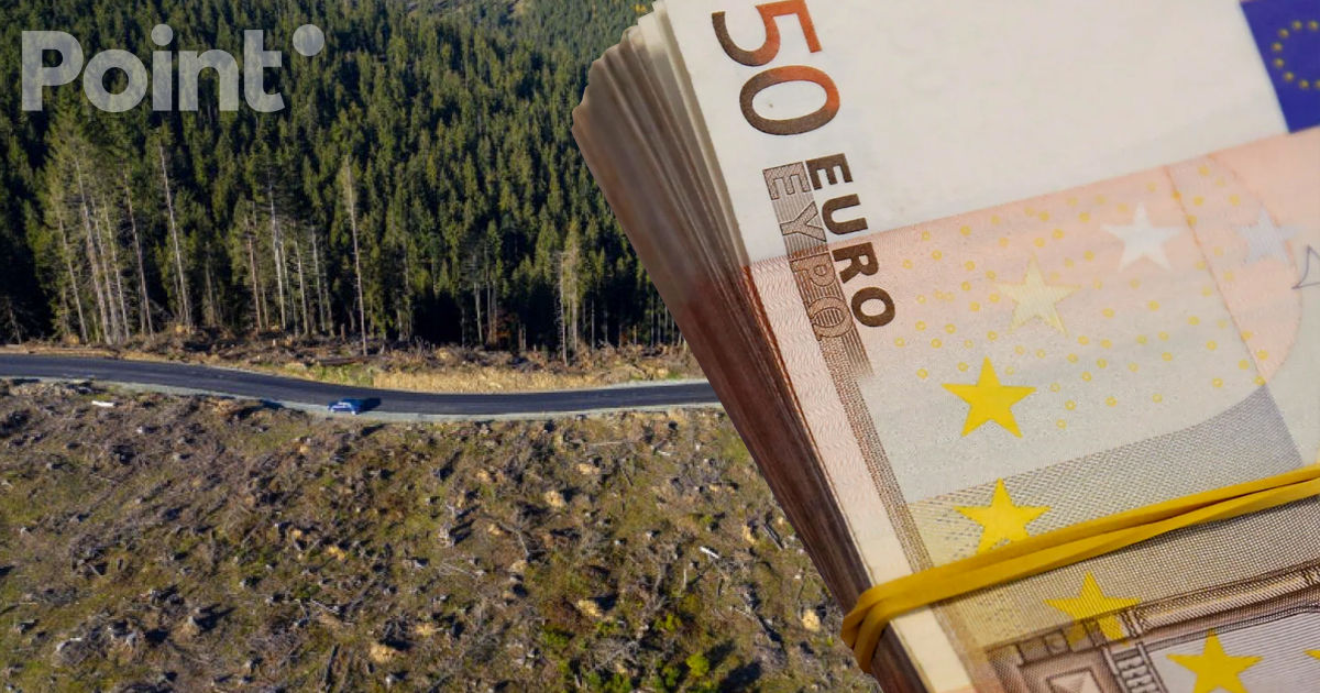 Un bărbat din Strășeni a cerut 18.000 de euro pentru funcția de pădurar.