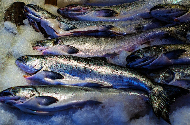 Рыба и морепродукты являются для человека основным источником полиненасыщенных жирных кислот семейства омега-3.
