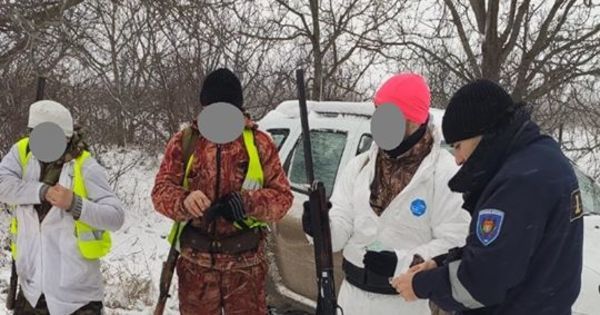 Браконьеры, охотившиеся на севере страны, получили штрафы.