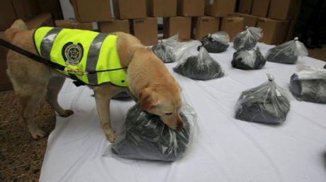 Poliţiştii au găsit 540 de kilograme de cocaină într-un container. Foto: mirror.co.uk