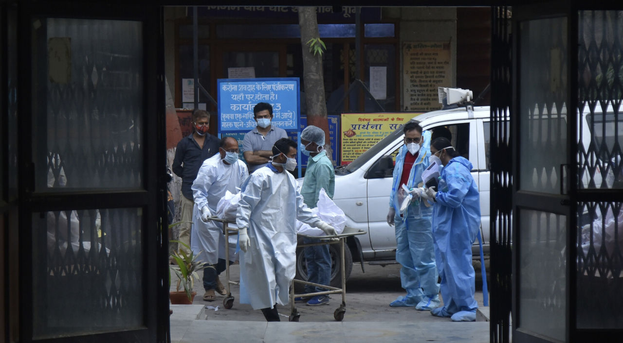 Turiștii din regiunile unde circulă virusul Nipah, îndemnați să evite consumul de alimente nespălate.