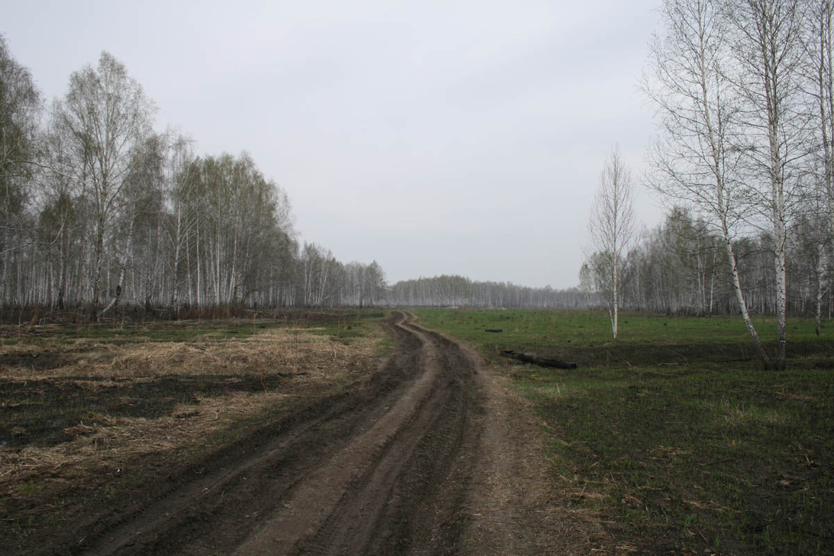 Ранее сообщалось, что украинские пограничники начали сооружать на участке противотанковый ров.