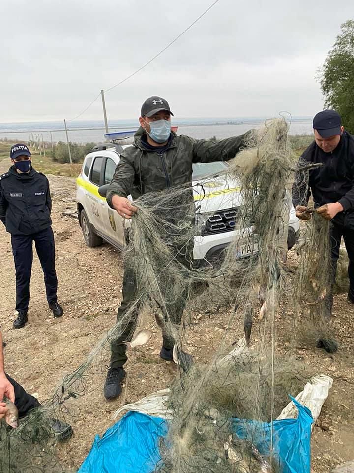 Инспекторы поймали рыбаков-браконьеров на юге Молдовы. Фото: madrm.gov.md.