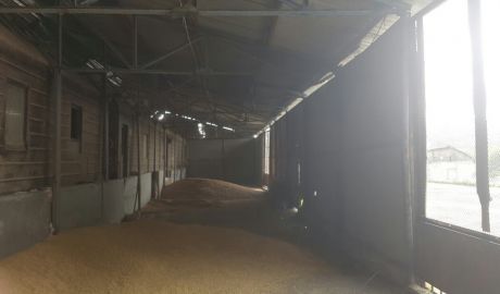 Un bărbat în vârstă de 29 de ani şi trei adolescenţi de 16 şi 17 ani, sunt cercetaţi penal pentru furt. Foto: IP Briceni