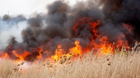 Un incendiu de vegetaţie a avut loc astăzi în oraşul Cahul.