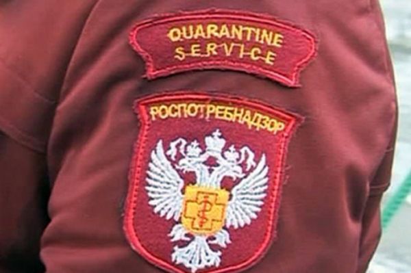В планах делегации – посещение предприятий по консервированию плодоовощной продукции