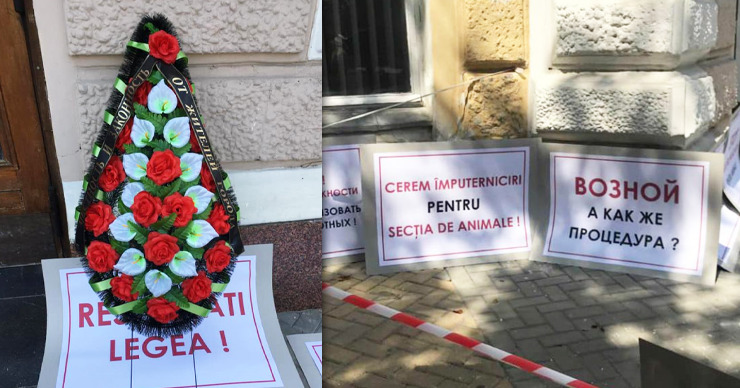 У примэрии столицы протестовали против назначения Возного с похоронным венком. Коллаж Point.md.