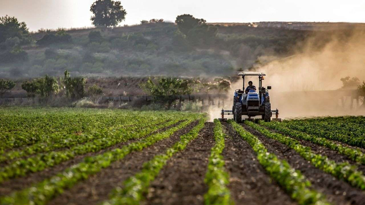 În Moldova va fi modificat sistemul subvențiilor agricole: Plățile vor fi acordate în avans.