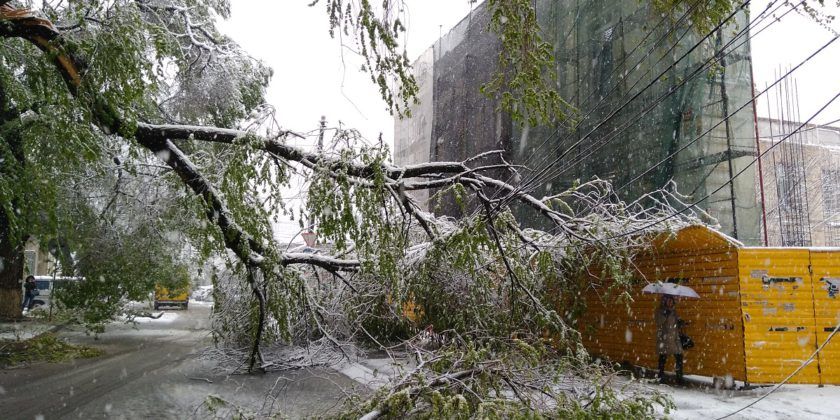 Viscolul de la mijlocul lunii aprilie naște „hoți de lemn”. Foto:zdg.md
