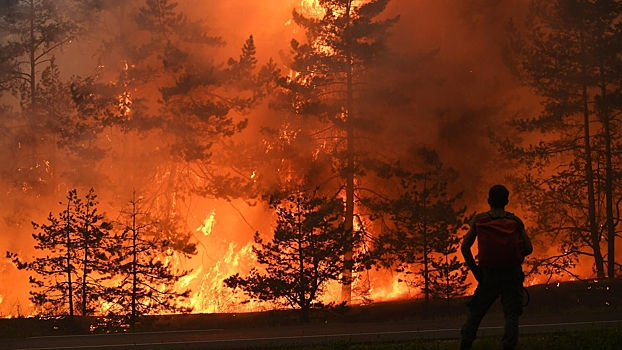 Из-за лесных пожаров в Чили погибли десятки человек.