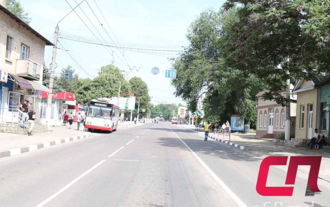 На месте старых деревьев планируется высадить декоративные плакучие софоры.