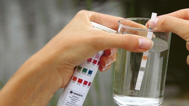 Результаты анализов почвы и воды будут известны уже на следующей неделе.