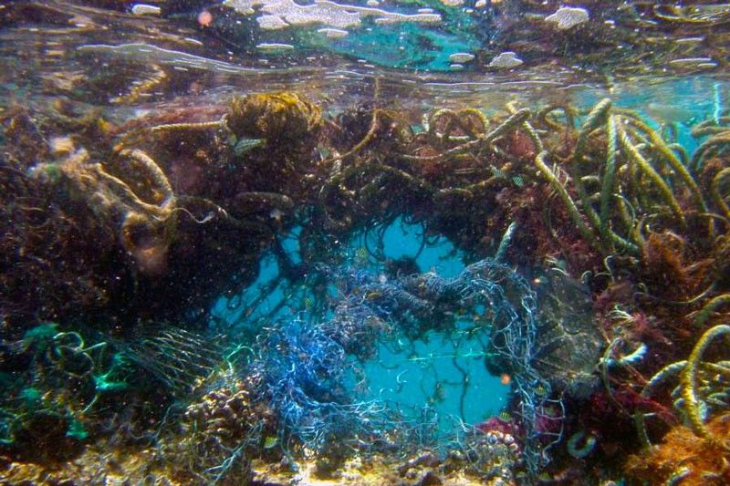 На дне Средиземного моря нашли крупнейшее скопление микропластика.