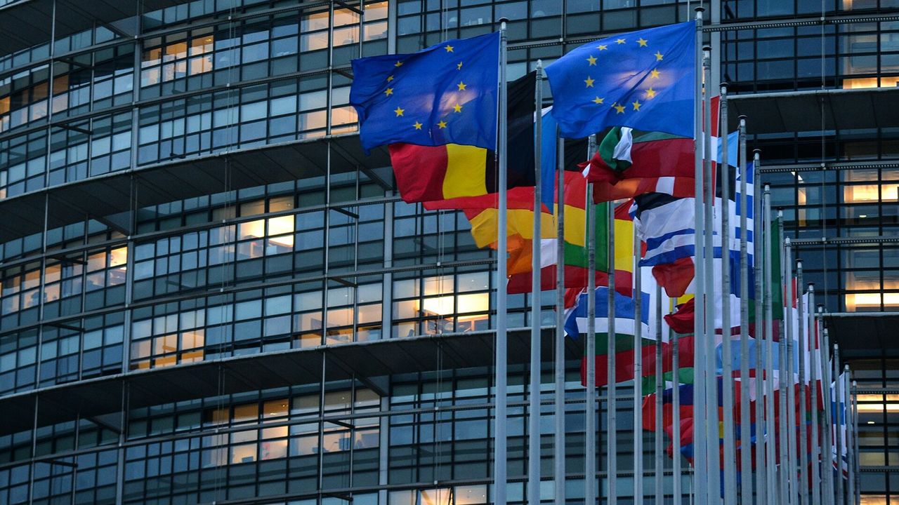 Нового председателя Европарламента изберут 18 января.