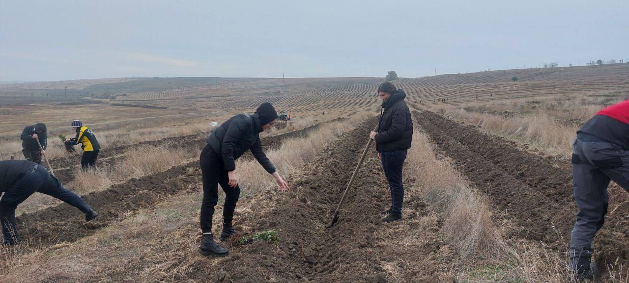Сотрудники полиции со всей Молдовы приняли участие в посадке деревьев.