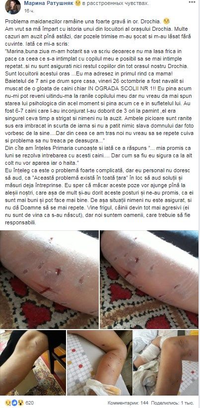 Стая разъярённых собак три раза атаковала 7-летнего мальчика в Дрокии.