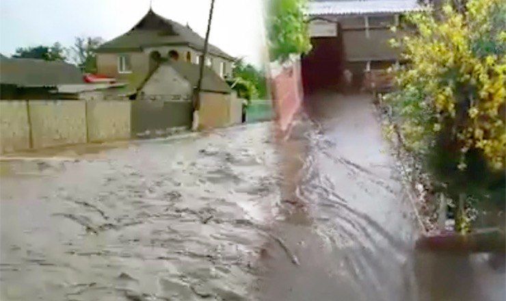 Видео было опубликовано в социальной сети.