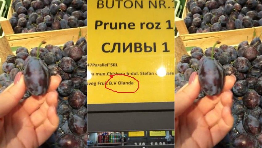 Кишиневские магазины продают сливы, привезенные из Нидерландов.