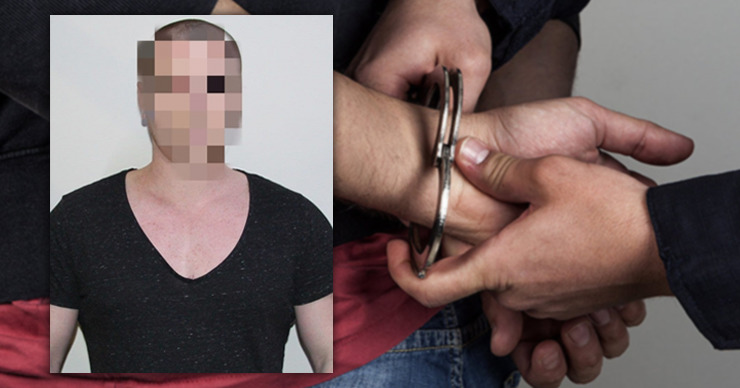 Из Австрии экстрадирован молдаванин, находящийся в международном розыске. Коллаж: Point.md
