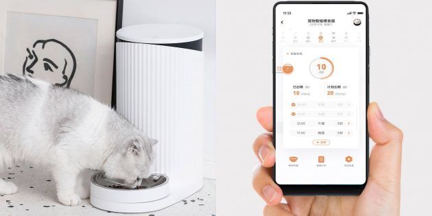 Женщина-хакер взломала все кормушки Xiaomi в мире.