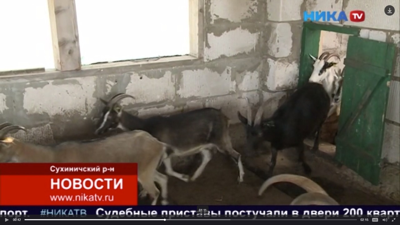 Хозяин фермы смущенно говорит, что в Нижней Каменке нет любопытных молдавских соседей и конкуренции.