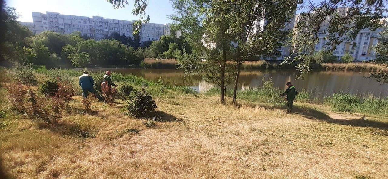 В Кишиневе и пригородах начали борьбу с клещами.