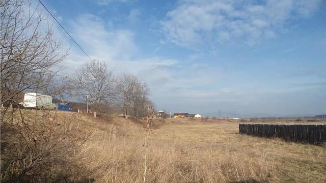 Схему по отчуждению 20 земельных участков у муниципия начали "проворачивать" в 2013 году.