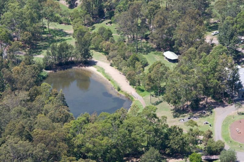 O colecție de șerpi, șopârle și broaște țestoase, furate dintr-un parc zoo din Australia. 