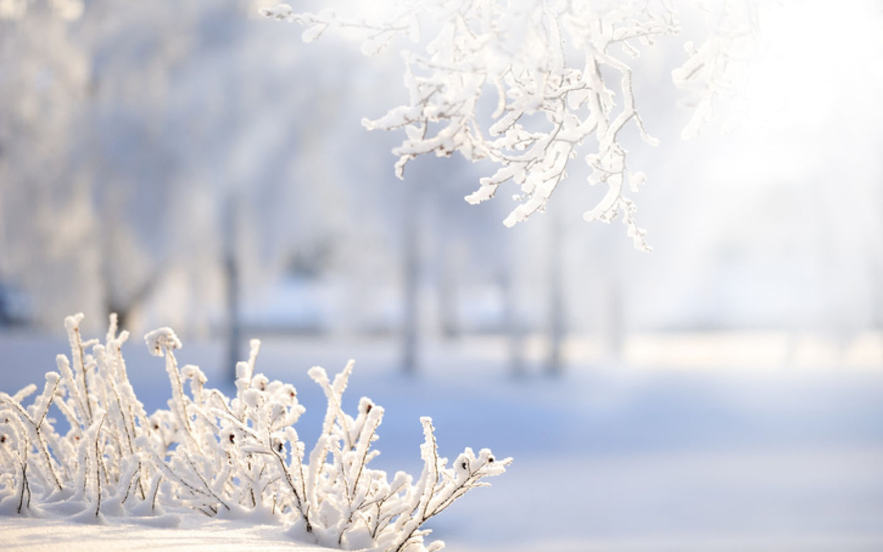 Când va conteni ninsoarea. Prognoza meteo pentru următoarele zile. Foto: protv.ro