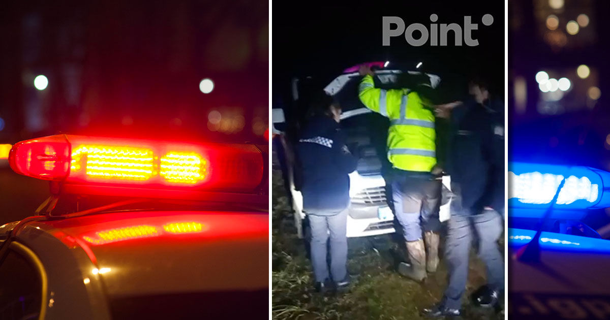 Suspectul care l-ar fi atacat pe un membru al Gărzii de Mediu, identificat.