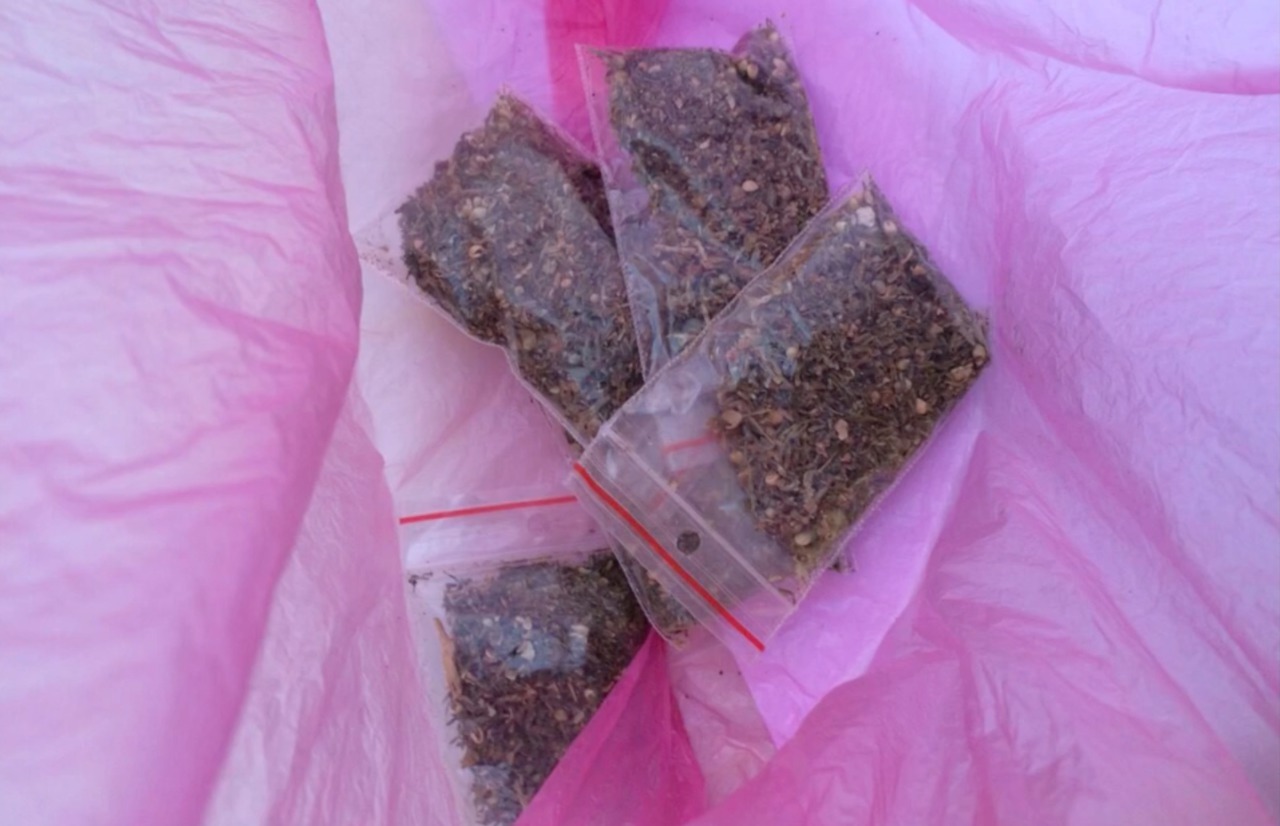 Bărbatul este consumator de droguri și comercializează substanțe narcotice de tip marijuana în regiunea de sud a țării.