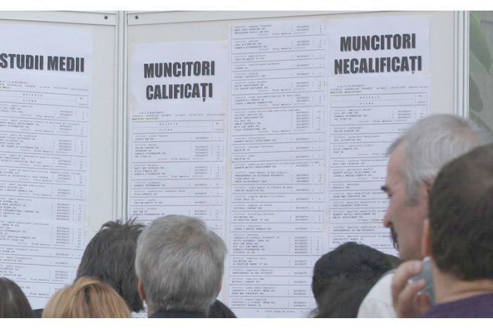 В Гагаузии организуют курсы для безработных.