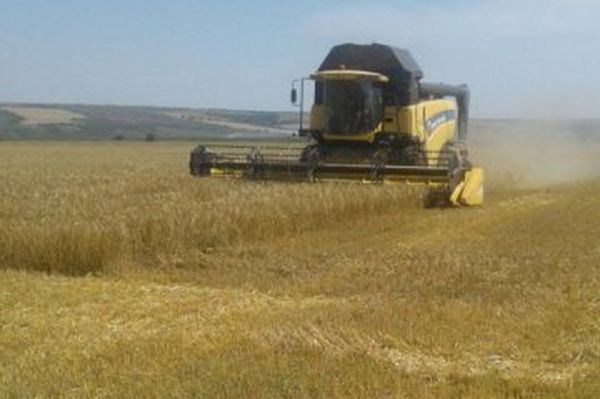 В Гагаузии началась уборка зерновых культур.