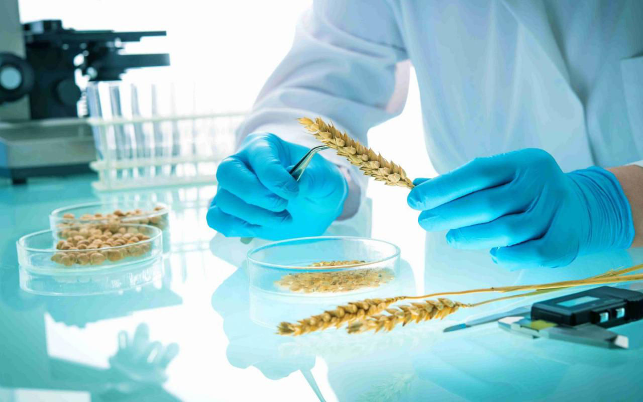 ANSA расширит список переработанных продуктов, подлежащих лабораторному контролю.
