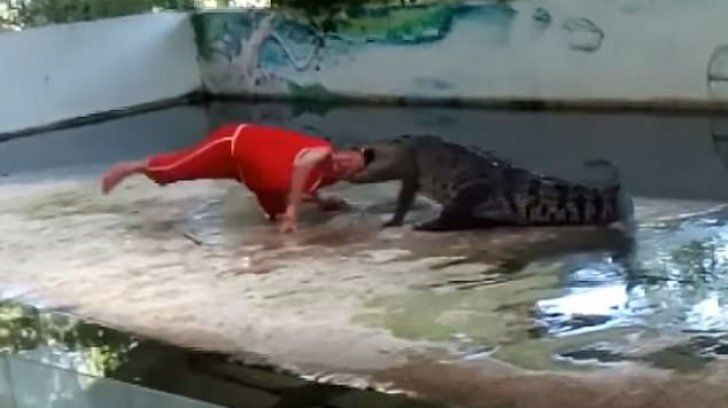 Îngrijitorul unei grădini zoologice este muşcat de cap de un crocodil. 