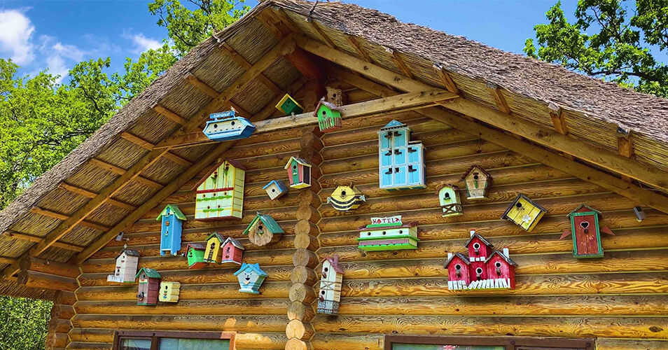 Woloshin banya: Смастери свой сказочный домик для Птицбурга.