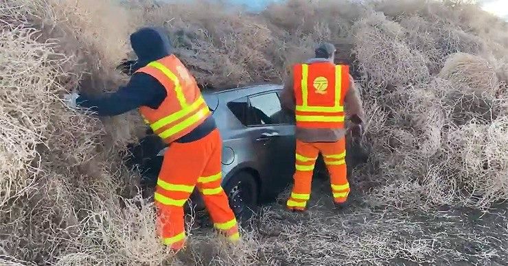 На зимних праздниках автомобили в США завалило перекати-полем.