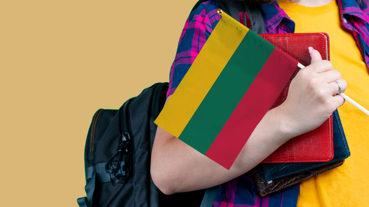 В Литве ужесточат процедуры трудоустройства и выдачи ВНЖ для иностранцев.