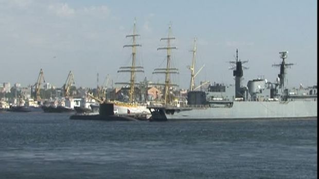 Румыния вводит проверки во всех портах и аэропортах из-за африканской чумы.