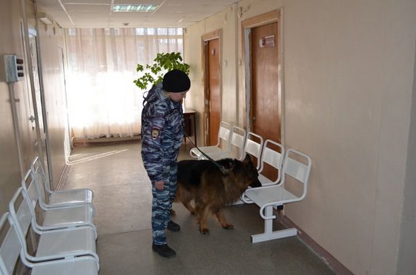 В поликлиниках проводится проверка.