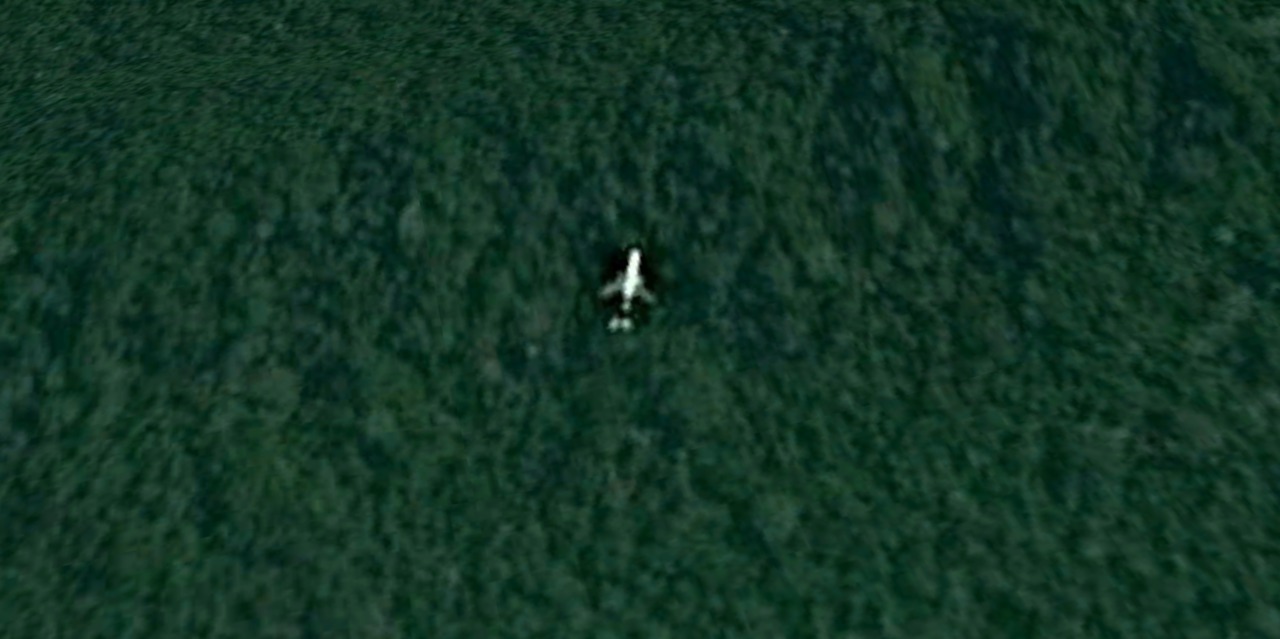Энтузиаст "нашёл" пропавший малайзийский "Боинг" в Google Maps.
