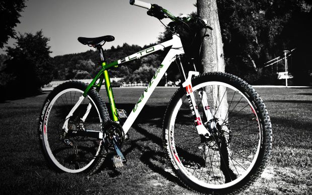 Un tânăr de 22 de ani a furat o bicicletă și se plimba nestingherit prin capitală. Foto: realitatea.md