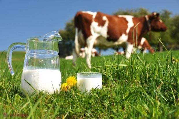 Consumul de lapte de vacă în Uniunea Europeană este într-o scădere evidentă.