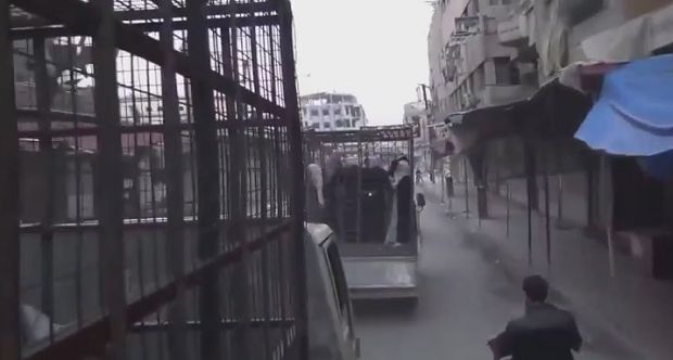Повстанцы уже доставили сто клеток, по 7-8 человек в каждой.
