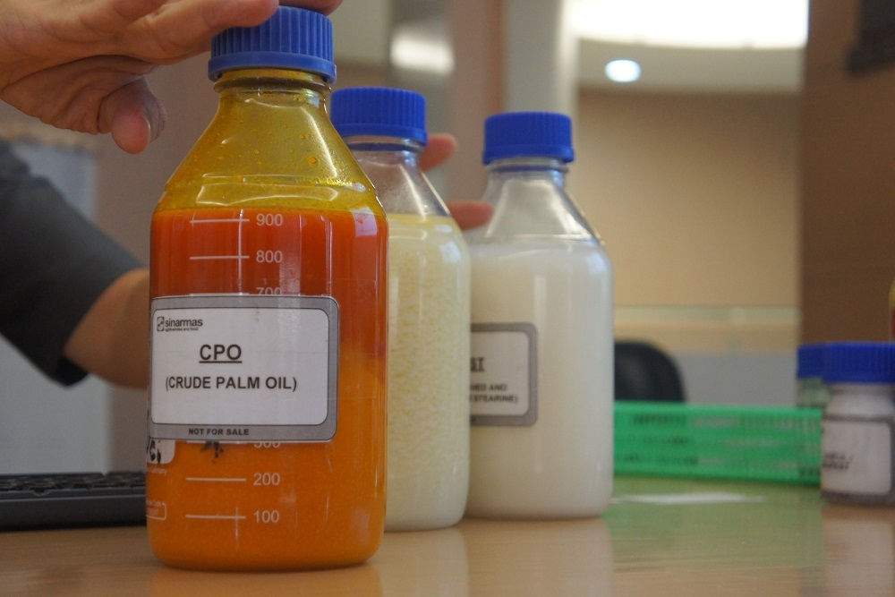 Moldova crește importul de ulei de palmier.