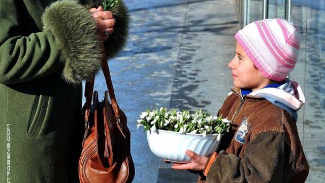 Букетик подснежников, собранных в лесу, продают по 25 леев.