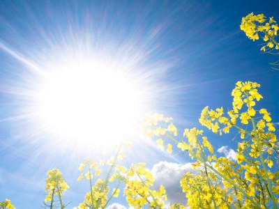 În weekend meteorologii ne promit că vom avea vreme frumoasă și cu temperaturi toride.