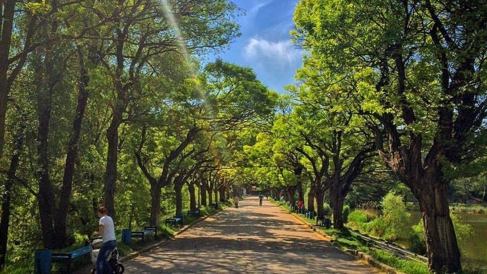 Parcul Valea Trandafirilor, iluminat complet până la sfârşitul acestui an