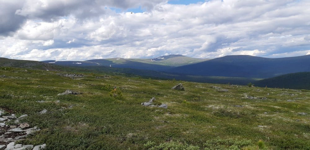 Туристов, потерявшихся в районе перевала Дятлова, спас таксофон.