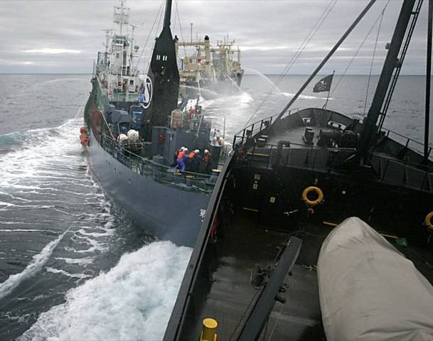 Сообщается, что в результате происшествия в штормовом море никто не пострадал. Всего на Siderfly и Coral Ivory находилось 29 человек, среди которых граждане России, Украины и Литвы. Фото: allvoices.com